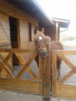 /album/jsoceanwind/a2014-04-12-18-13-26-jpg/